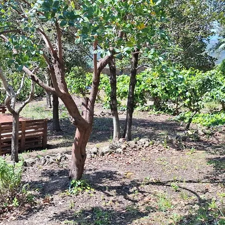 La Terrazza Sul Viale Ferienhaus
